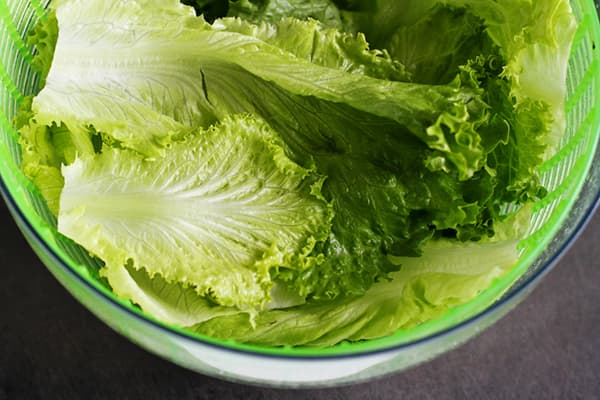 Feuilles de laitue lavées