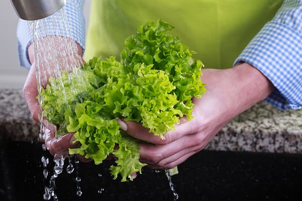 Laver la laitue