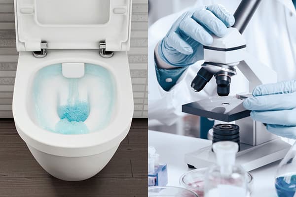 Etude de l'environnement microbiologique dans les toilettes