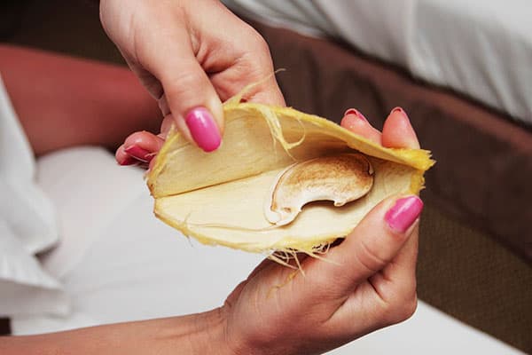 Graine dans un noyau de mangue