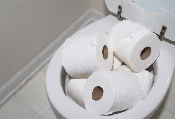 Rouleaux de papier toilette dans les toilettes