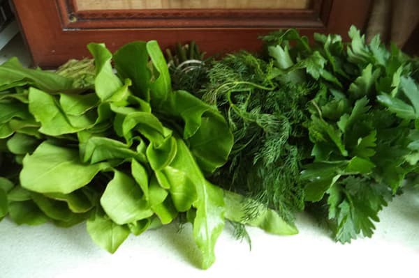 Oseille, aneth et persil