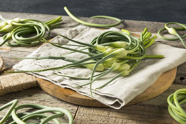 Flèches d'ail trop mûres