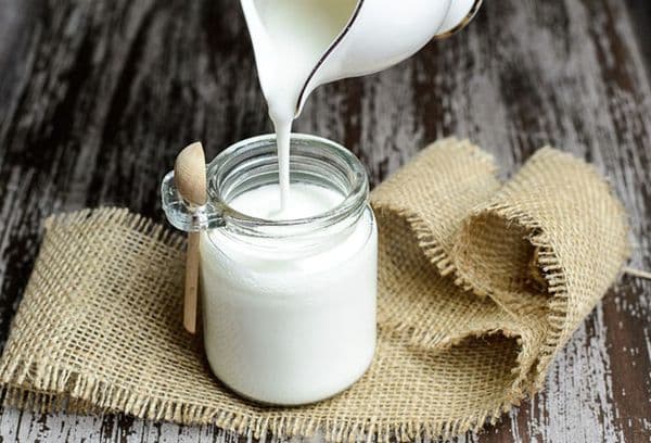 Kéfir maison en pot