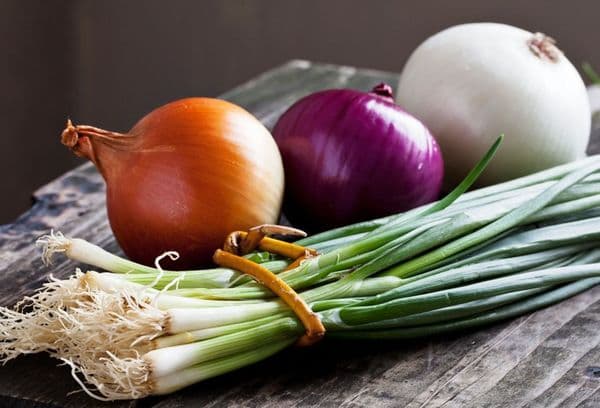 Oignons et oignons verts