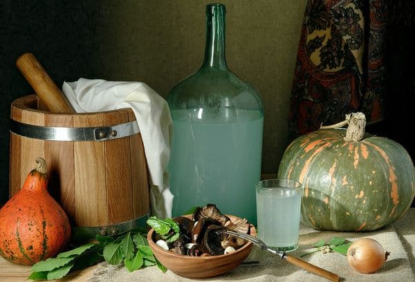 Champignons, citrouille et clair de lune