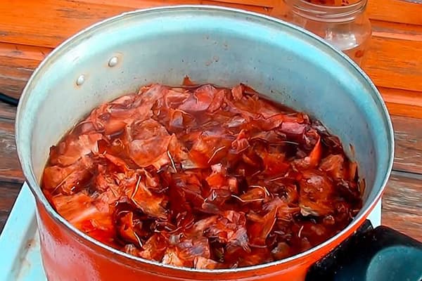 Fabriquer de l'engrais à partir de pelures d'oignons