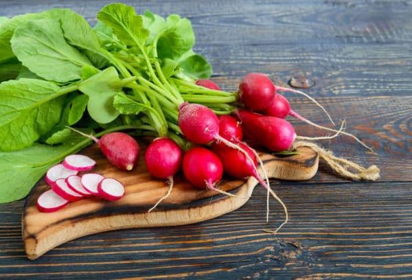 Radis du jardin