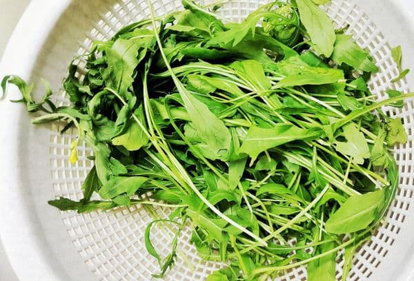 séchage des légumes verts