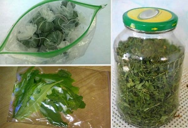 Sécher la roquette à la maison