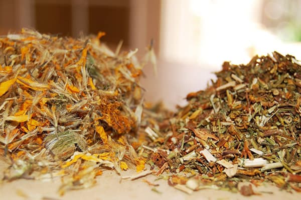 Millepertuis séché