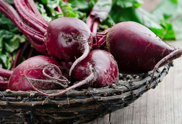 Vase avec des betteraves