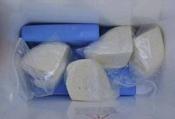 Fromage au congélateur