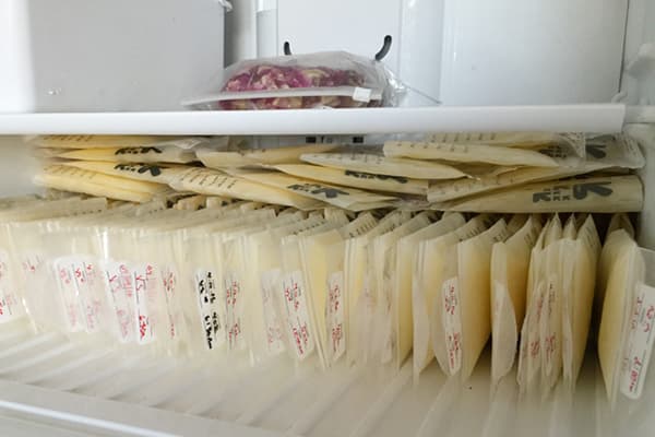 Lait maternel, congelé en sachets