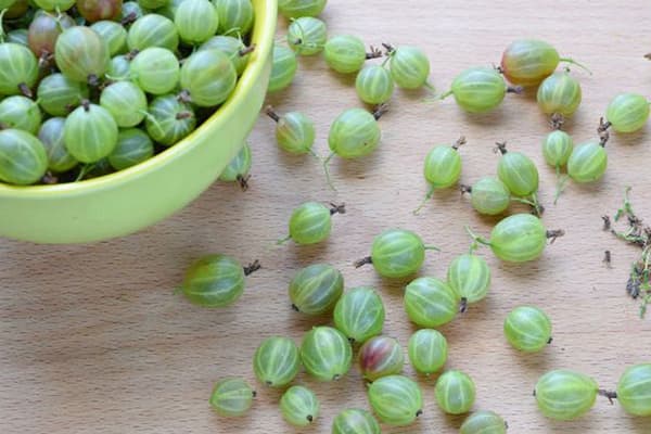 Groseilles fraîches