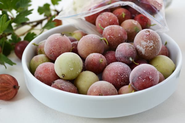 Groseilles à maquereau surgelées