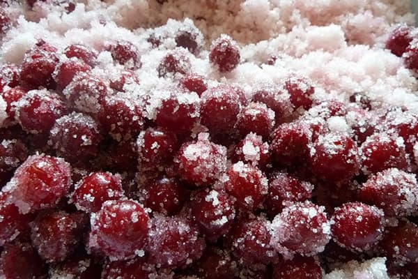 Cerises au sucre