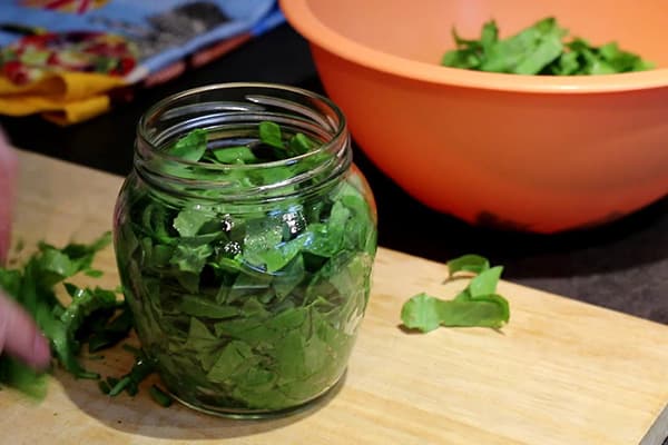 Placement de l'oseille hachée dans un bocal