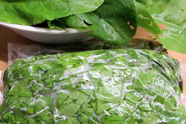 Oseille dans un sac de congélation