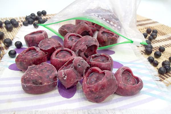 Purée de groseilles surgelée