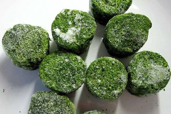 Verts congelés dans des moules