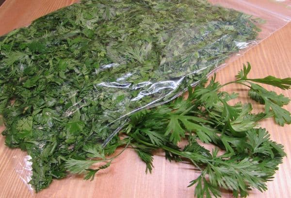 Feuilles de coriandre surgelées