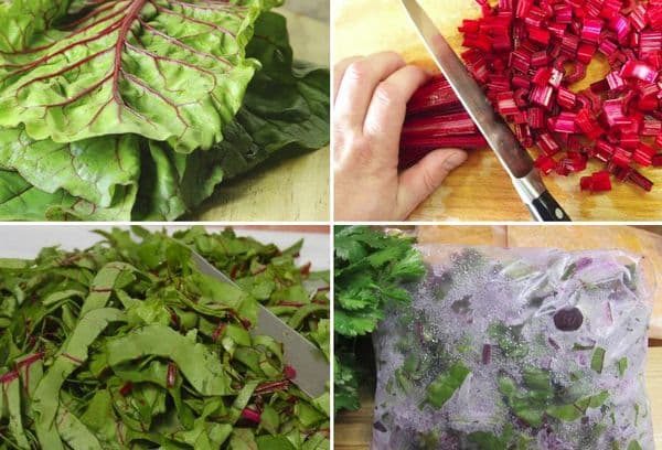 Congeler les fanes de betteraves