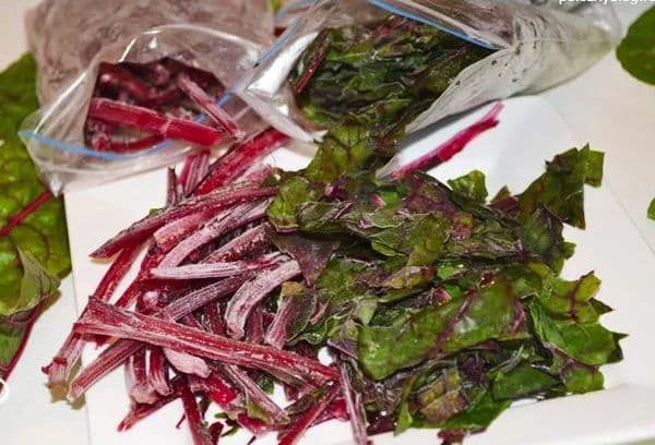 Tiges de betteraves surgelées