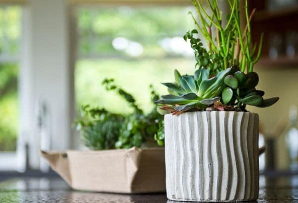 Est-il possible de mettre des fleurs sur le réfrigérateur : avantages et inconvénients