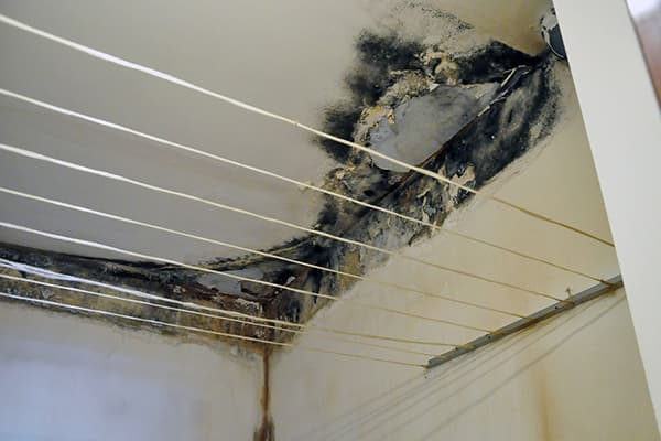 Champignon dans la salle de bain