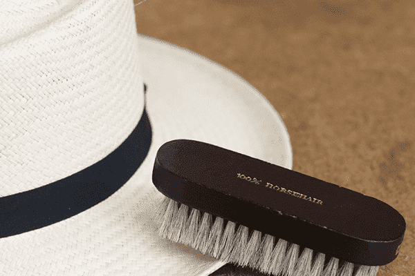 Brosse à chapeau et à vêtements