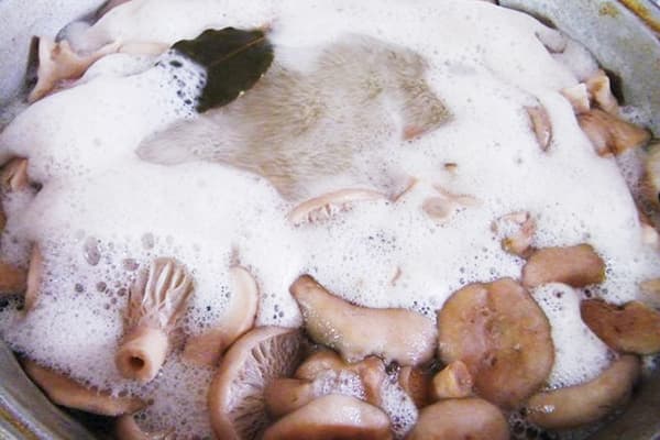 Cuisson des champignons