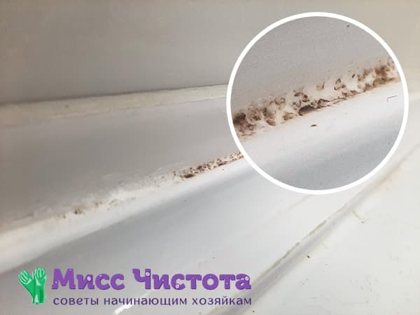 Moisissure dans la salle de bain