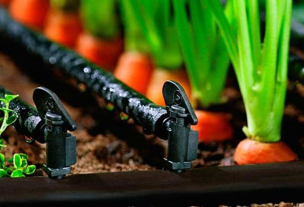 Irrigation goutte à goutte