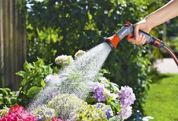 Arroser les fleurs dans un chalet d'été