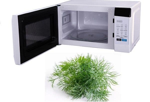 Micro-ondes et aneth