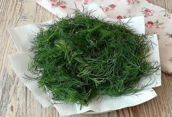 séchage de l'aneth