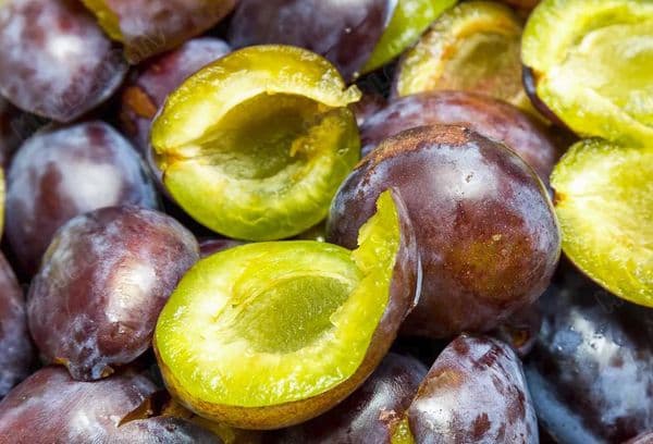 Prune fraîche