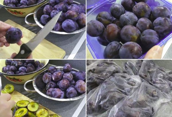 Congeler des prunes dénoyautées