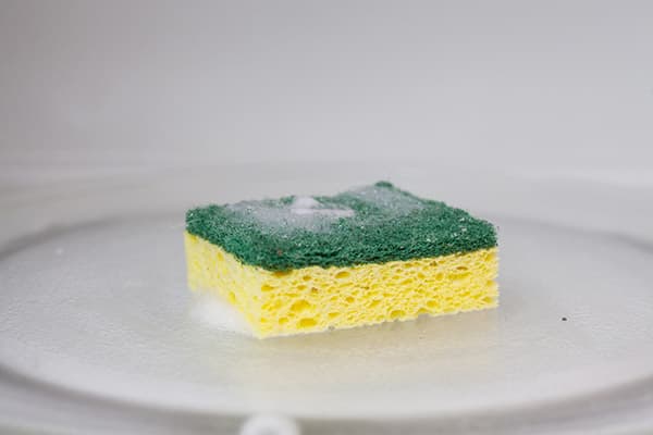 Éponge sur support au micro-ondes