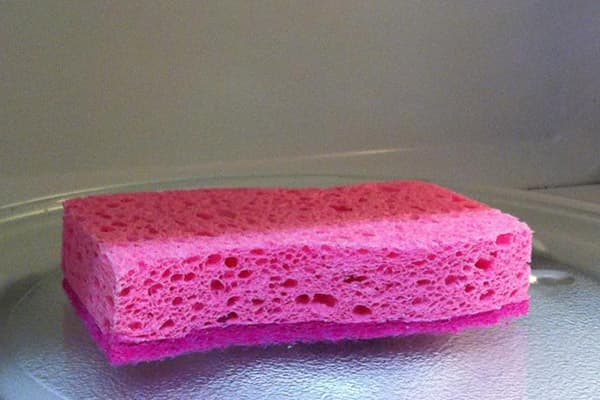 Éponge au micro-ondes