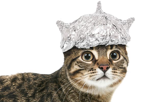 Chat dans un chapeau en aluminium