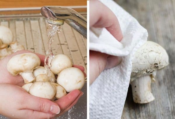 Champignons de nettoyage