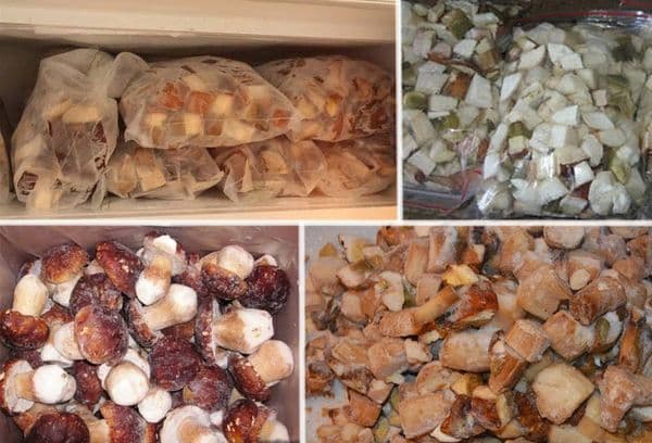 Congeler des champignons