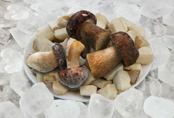 Champignons et glaçons