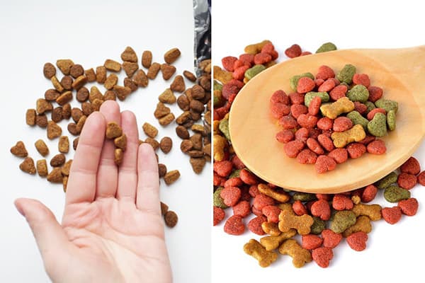 Nourriture pour chat et chien