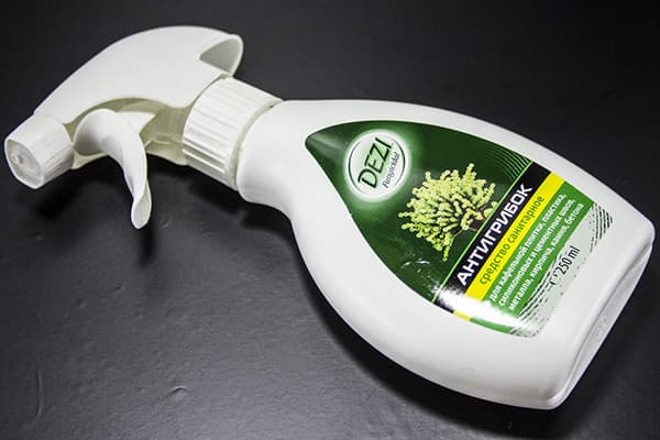 Spray anti-moisissure