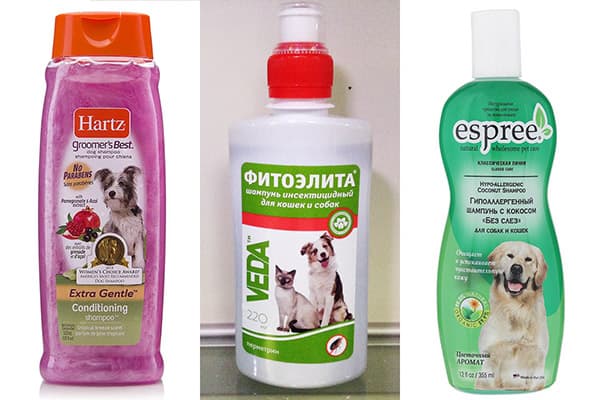 Shampoings adaptés aux chiens