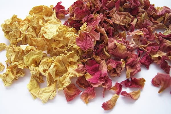 Pétales de fleurs de rose musquée