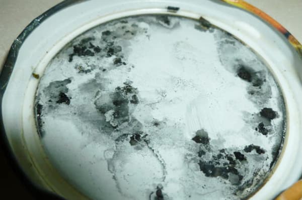 Moisissure sur un couvercle de pot